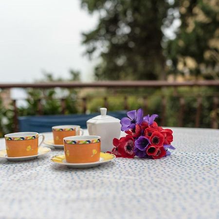 Apartment Urban Garden غييكا المظهر الخارجي الصورة