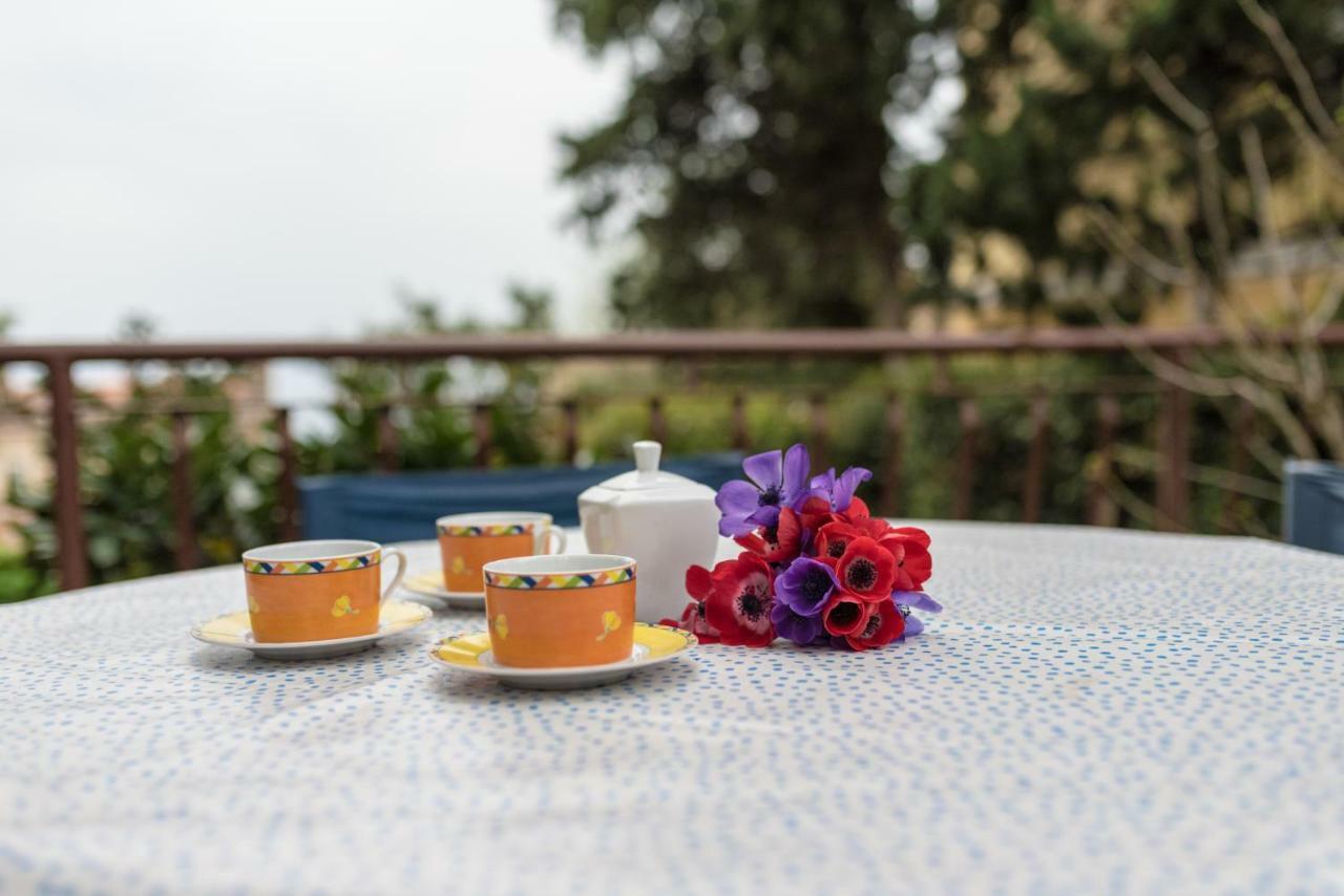 Apartment Urban Garden غييكا المظهر الخارجي الصورة